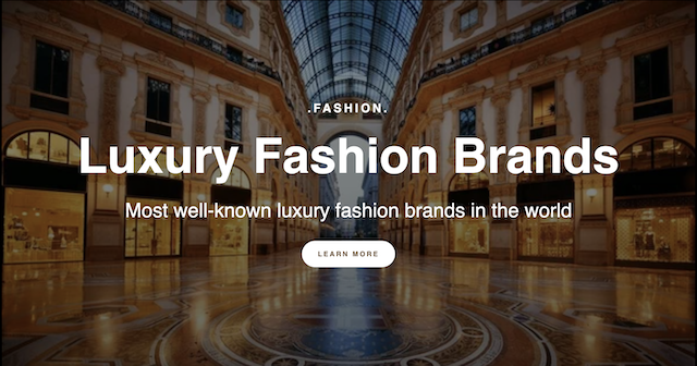 Luxury Fashion Project